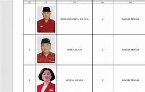 Caleg Dprd Pdip Jakarta Timur 2024