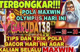 Live Streaming Slot Maxwin Olympus Hari Ini Hari Ini